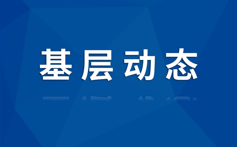智能装备公司赴成都欣皓旅行学习方桩旋挖机手艺