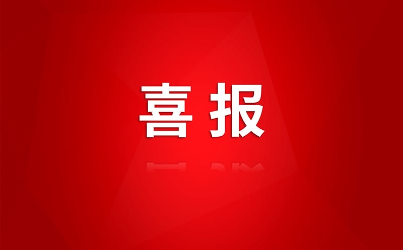 喜讯！科技立异引领我国锂稀土等战略新兴矿产取得找矿新突破荣登“2024年度十大地质科技主要希望”