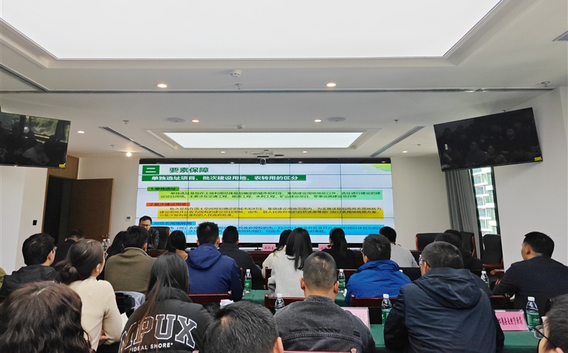 强化要素包管专题培训 精准高效推进报件事情