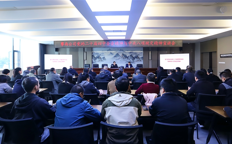 攀西公司开展党的二十届四中全会精神 与中央八项划定精神专题宣讲