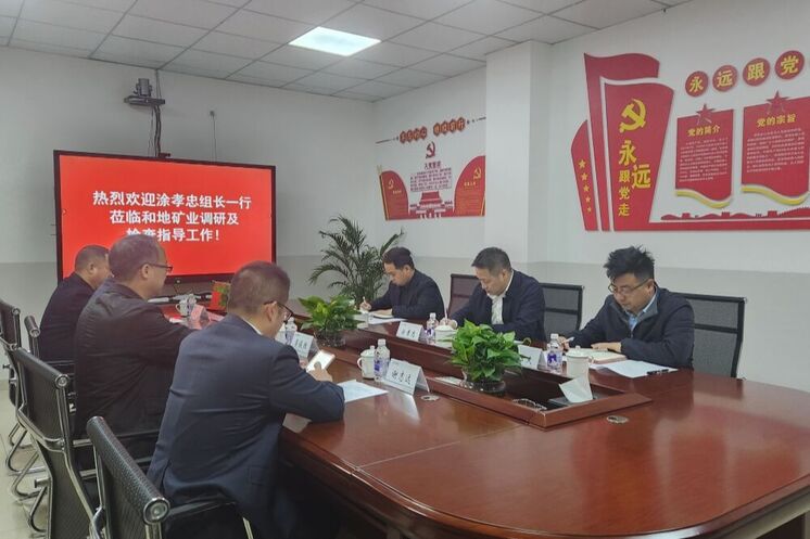 强化党建引领 深化制度建设 推动高质量生长——省自然AG真人娱乐投资集团向导赴和地矿业开展专题调研