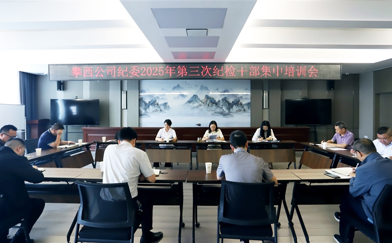 攀西公司纪委召开第三次纪检干部集中培训会