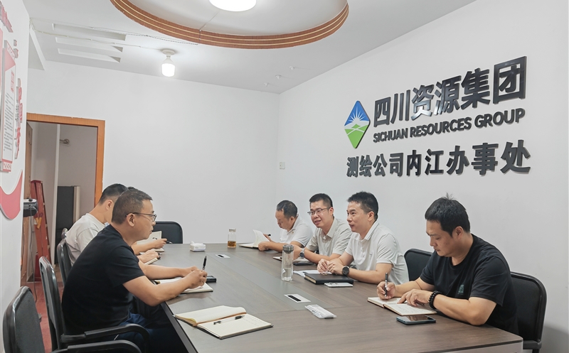 测绘公司向导赴内江效劳处调研