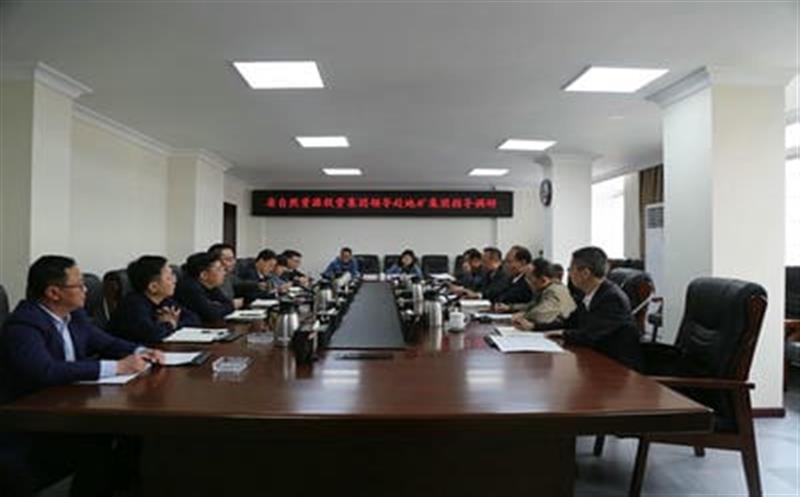 省自然AG真人娱乐投资集团副总司理武文祥带队赴地矿集团调研指导事情