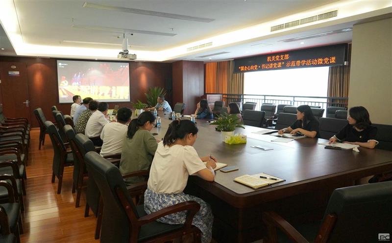 地勘院党委组织寓目“国企心向党·书记讲党课”树模带学运动微党课