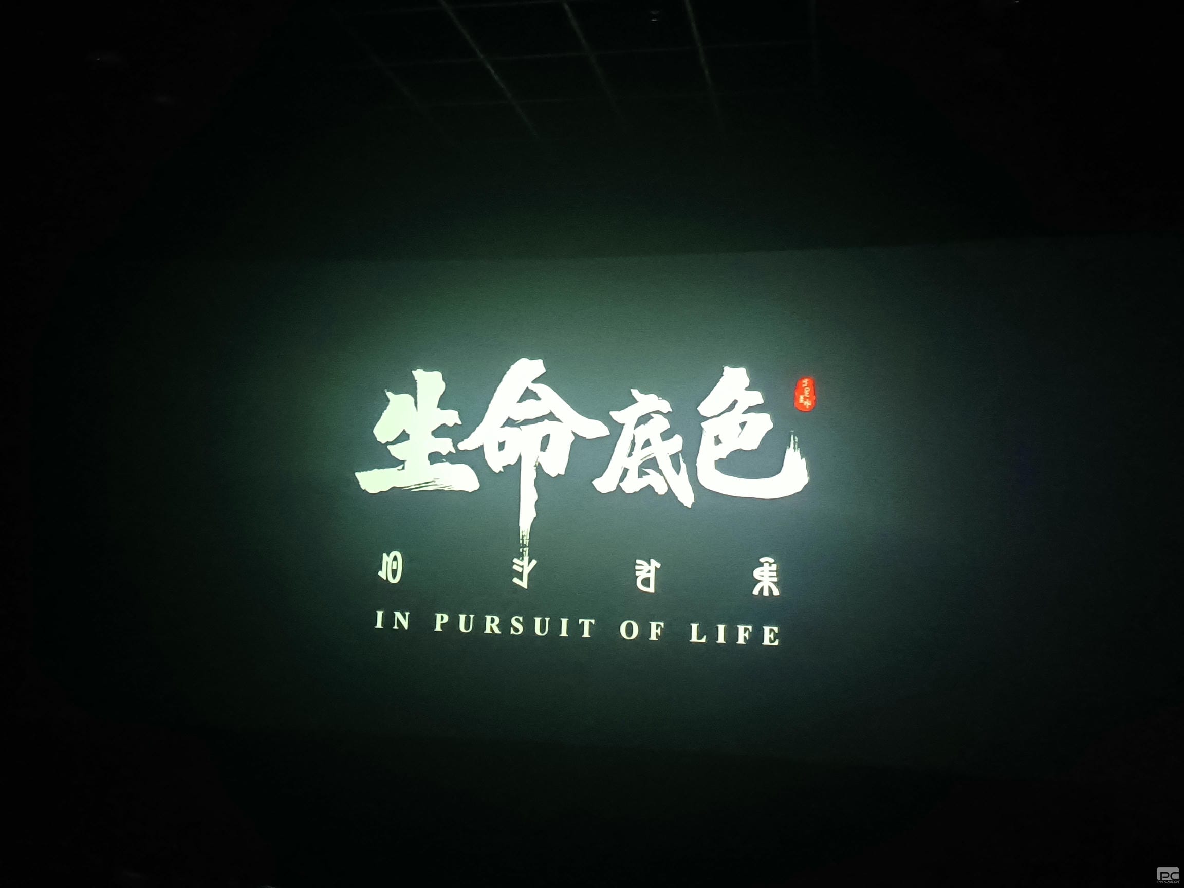 AG真人娱乐- AG真人平台(集团)官方网站