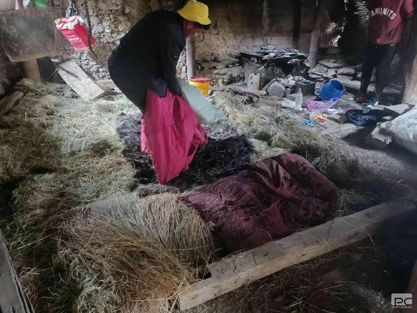 AG真人娱乐- AG真人平台(集团)官方网站