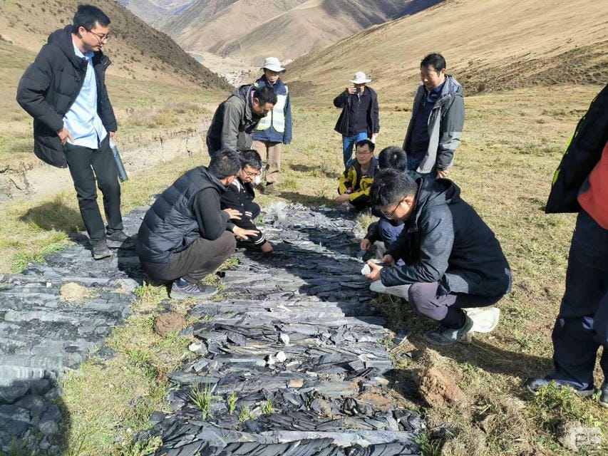 AG真人娱乐- AG真人平台(集团)官方网站