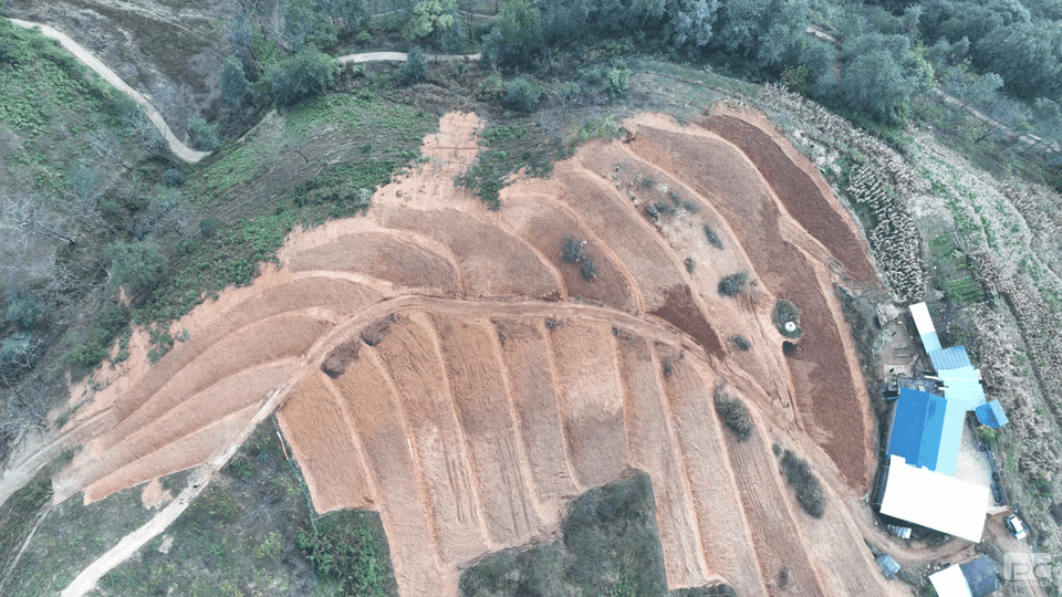 AG真人娱乐- AG真人平台(集团)官方网站