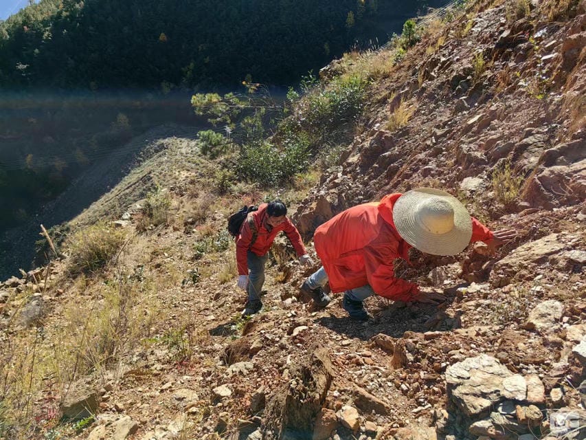 AG真人娱乐- AG真人平台(集团)官方网站