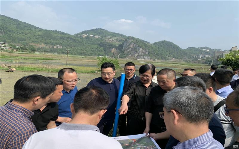 古蔺县委主要向导赴大村煤炭项目实地专题调研矿产AG真人娱乐发动型小城镇妄想建设