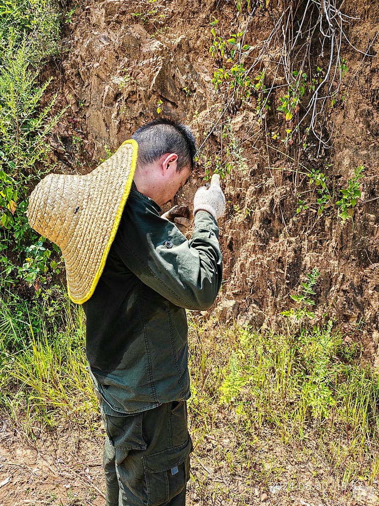 AG真人娱乐- AG真人平台(集团)官方网站