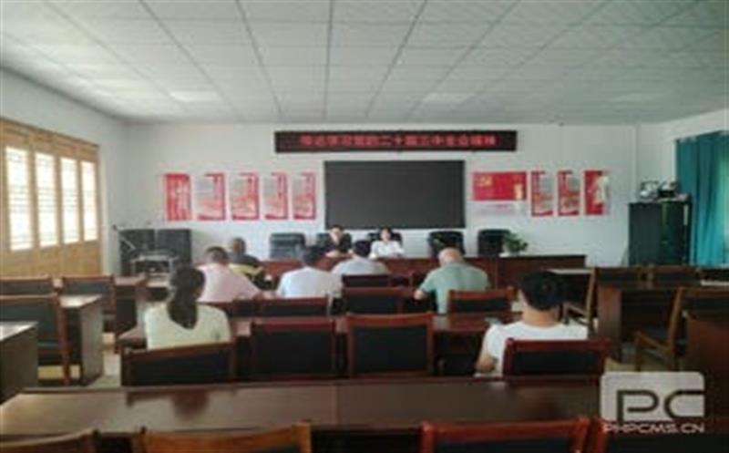 学习党的二十届三中全会精神，华锋钻探助力墟落振兴新征程
