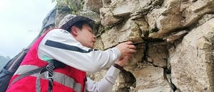 AG真人娱乐- AG真人平台(集团)官方网站