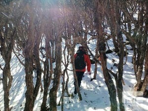 AG真人娱乐- AG真人平台(集团)官方网站